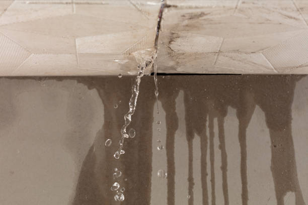 Professional Flood Damage Cleanup technician working in Evans, WA